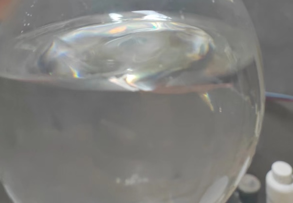 Appearance image for 1,2-Diazine