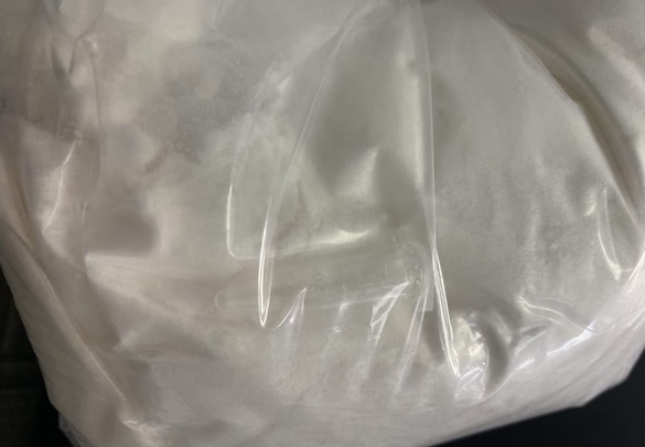 Appearance image for 4-Chloro-2-(methylthio)quinazoline