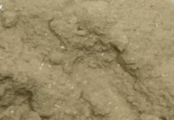 Appearance image for Pyrazine-2,6-Diamine Hydrochloride