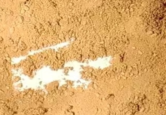 Appearance image for ZM 306416