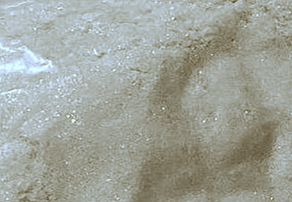 Appearance image for 1-(4-Aminophenyl)piperazine