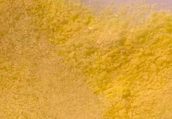 Appearance image for 4-Iodopyridazine